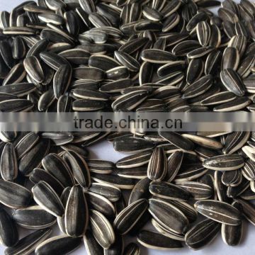 Companies Email Address for Seeds Sunflower, Sunflower Seeds from China