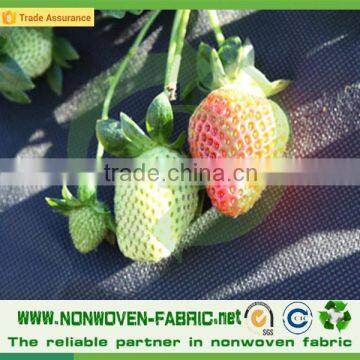 Sample book for fabric weed control fabric perforated landscape fabric