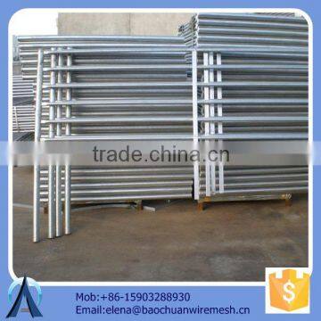 8*8 fencing panels/ 8*8 cattle panels