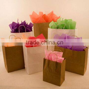 Kraft Recyclable Paper Bag