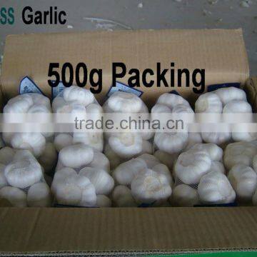Shandong New Garlic Price of Sale photo-3