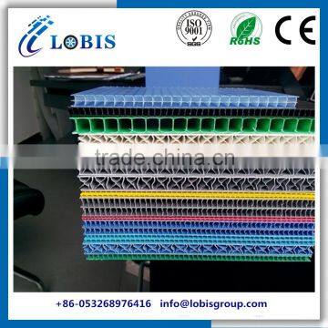 Shandong China Polypropylene Correx Pastic Sheet Manufacturer