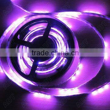 Hot sale Waterproof DC 12V 5050 flexible led strip for christmas tree