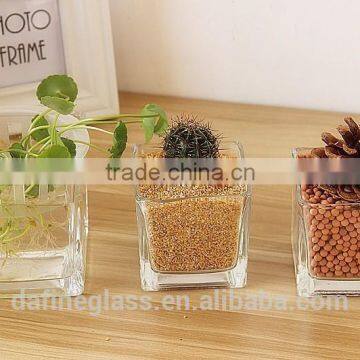 Square Hydroponic Succulent Plants Flowerpot Glass Vase photo-2