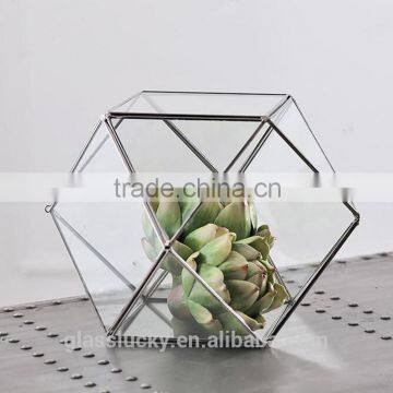 Round Terrarium Glass. Geometric Glass Terrarium Wholesale Container photo-3