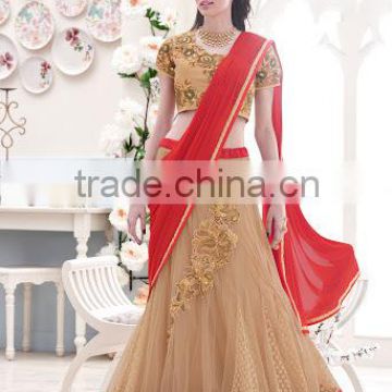 Patch Border Work Net Lehenga Saree