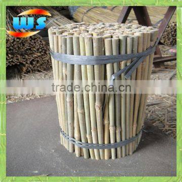 Bamboo cane 35cm x 10-12mm