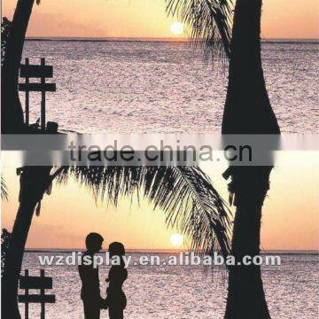 Polarized Sunglasses Test Card photo-1