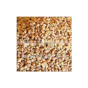 FENUGREEK SEEDS