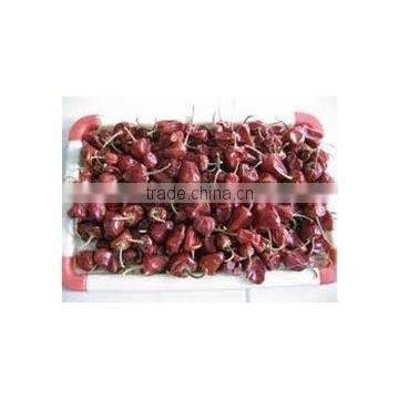 Round Chilli From SouthIndia photo-6