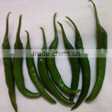 green chilli