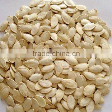 Shine skin Pumpkin Seeds