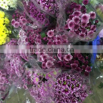 Fresh Cut Chrysanthemums Flower