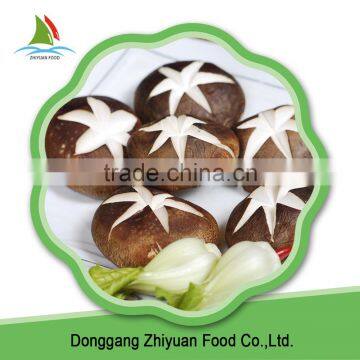 High Quality IQF Frozen Mushroom Shiitake On Sale