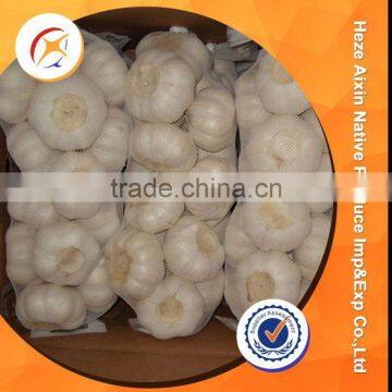 Chinese Fresh Garlic In Clod Storage photo-6