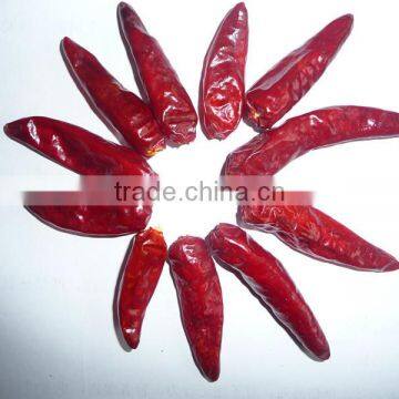 bullet chilli hot spicy dried red chilli chaotian chilli dried fruit