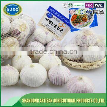 Good Price of Single Clove Garlic Packing With ISO9001 Certificate photo-5