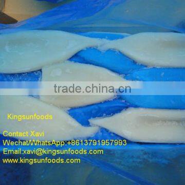 Wholesale High Quality Frozen Squid Tube U5,Todarodes Pacificu