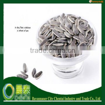 In Shell 50g/280p 909 American Hot Sell 24/64 Sunflower Seeds