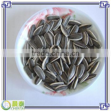 Export Sunflower Seeds 5135 Top Quality 24/64