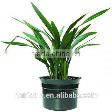 Adding Sand to Clay Soil photo-6