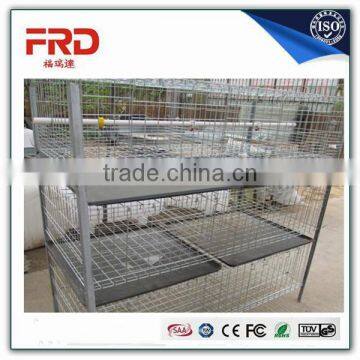 FRD Cage of Broiler Chicken(ISO9001) for Feeding Chicken Factory/Model Poultry Cage