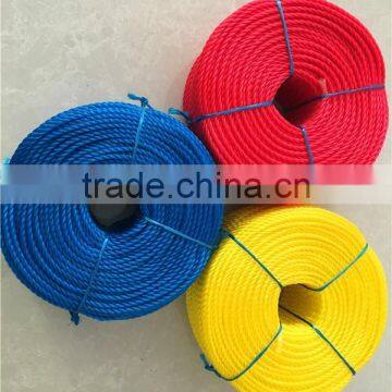 Diameter 4mm 5mm 6mm PE Color Rope PP Danline Rope For Indonesia market