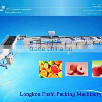 Automatic Peach Grading Machine