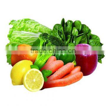 Chinese Electric-manual Multi-functional Vegetable Cutter photo-3