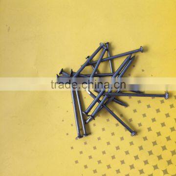 Common Nail Type and Steel Material Common Iron Nails photo-2