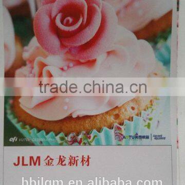 JInlong 300gsm Soft High End Pvc Flex Banner Sizes, New Type Cold-resistant Digital Printing Material photo-6
