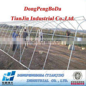 NB40MM vegetable greenhouse steel pipes