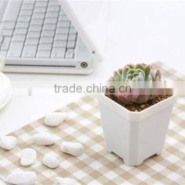 More Thickness Plastic Starting Seeding Flower Pot photo-3