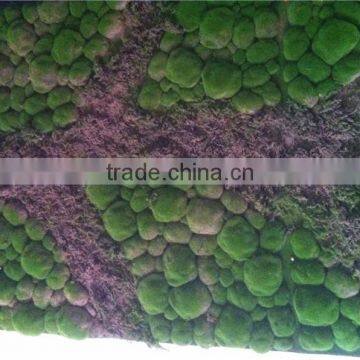 Home Garden China Decoration 100cmx200cm Black Mat Artificial Plant Holland Moss Carpet EZMD03 0209 photo-3