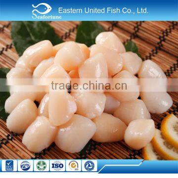 hot sale IQF best selling seafood