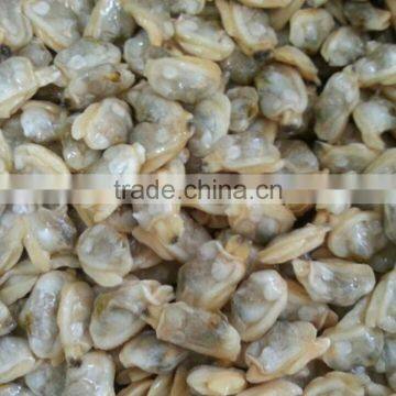 Frozen new boiled local special seafood yellow clam meat from Liaoning province