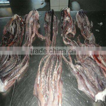 deep sea flowered whole cooking clean octopus frozen