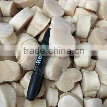 Frozen Sea Scallop in Good Quality no Chemical Treated