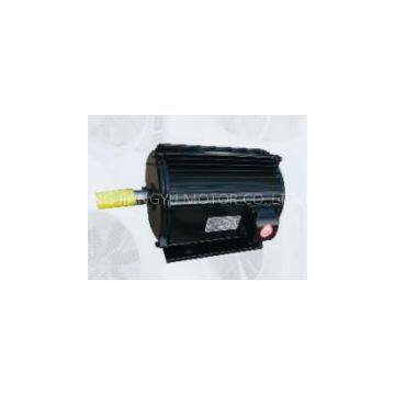 YFF series of energy-saving three-phase induction motor for FRP
