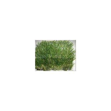 Outdoor Sports Quality Artificial Lawn Grass for Landscape / Gardens