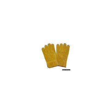 Sell Driver Glove