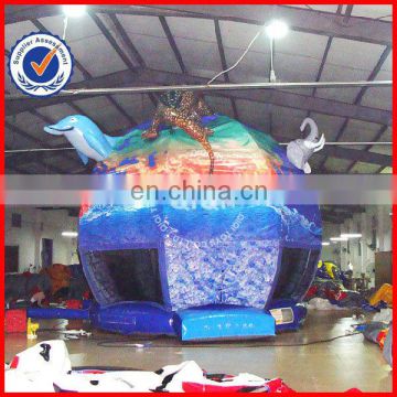 Inflatable commercial moon bounce sale