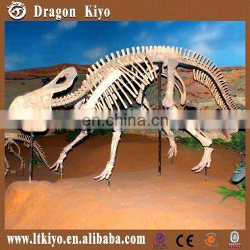 Museum Life Size Dinosaur Fossil For Sale photo-3