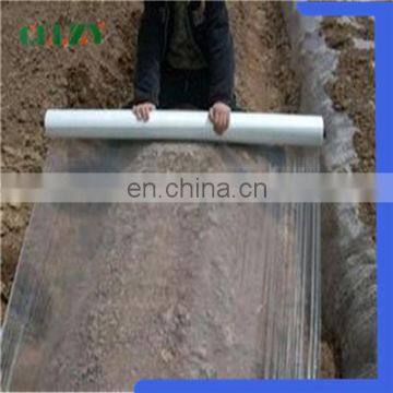 Cheap price pla biodegradable products made in China