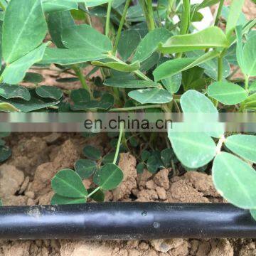 Drip Tape / Agricultural Drip Irrigation Tape