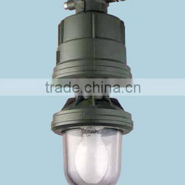 Explosion Proof Highbay Lighting (Zone 1) - ITALY
