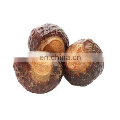 Wholesales  best price high quality soap nut/natural herbs  soap nut/organic laundry  soap nut best price from Vietnam