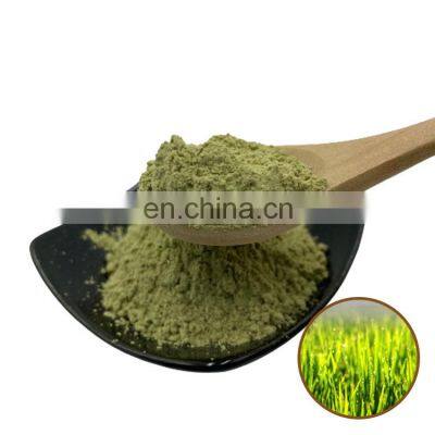 Losing weight Barley Grass Extract Powder Organic Barley Grass Powder barley grass extract