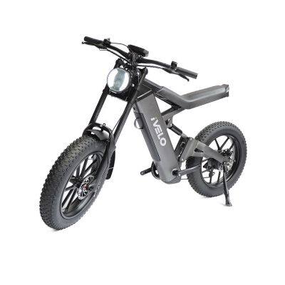 IVelo Wholesale 20*4.0 1000W Motor Big Power Fat Tire Electric Bike Mountain Ebike Bicycle photo-2