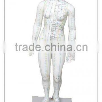 26cm Female Acupuncture model 26cm